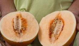 吃瓜群众吃个甜蜜的瓜