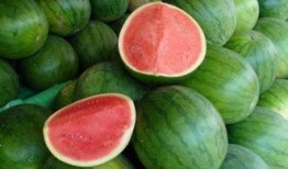 韩国没瓜吃,揭秘“没瓜吃”背后的真相与隐情