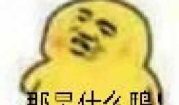 吃瓜表情包图片搞笑,吃瓜表情包里的欢乐盛宴