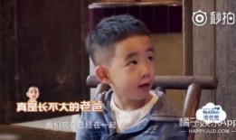 jasper陈小春吃瓜,娱乐圈的“瓜田”再起波澜