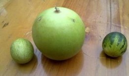 马泡瓜怎样吃,解锁美味新体验