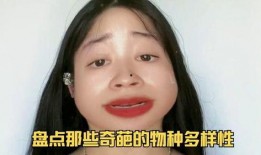 带你吃瓜奇葩物种,奇特的“带你吃瓜”世界，揭秘那些令人惊叹的奇葩物种