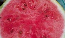 沈阳医院吃瓜,揭秘背后的真相与争议