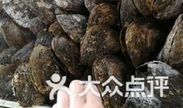 广州南沙区吃瓜,瓜果飘香，品味夏日田园风情