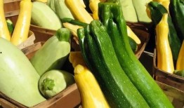 开发区吃瓜,揭秘幕后故事与精彩瞬间