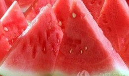 糖高吃西瓜白瓜,糖高患者夏季西瓜与白瓜的食用指南