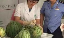 吃瓜直播群众进场,直播现场热闹非凡