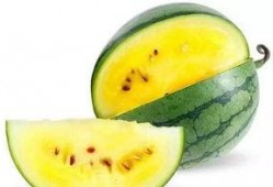 elles可以 吃瓜,揭秘娱乐圈的“吃瓜”文化