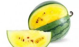 elles可以 吃瓜,揭秘娱乐圈的“吃瓜”文化