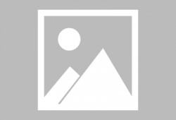 兔子吃瓜图,趣味盎然的田园生活瞬间