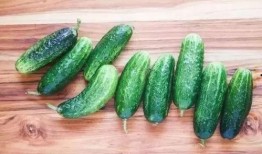 唐十八吃瓜222,揭秘娱乐圈背后的秘密与真相