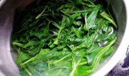 佛手瓜的瓜尖可以吃吗,可食用之美味探索