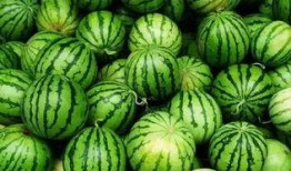 群吃的瓜,群吃瓜背后的真相与反思