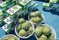 宁波象山吃瓜,宁波象山特色美食之旅