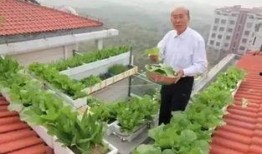 西厂楼顶吃瓜,见证历史瞬间，吃瓜群众的热议焦点