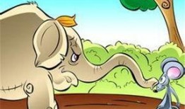 睡前故事老鼠吃瓜,老鼠的甜蜜瓜果盛宴