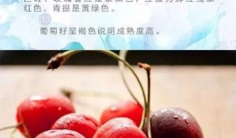 吃瓜实蝇蔬果,揭秘蔬果种植中的隐形威胁