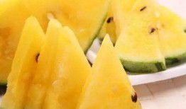 吃瓜图小型,揭秘吃瓜图背后的趣味与真相