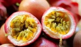 今日吃瓜必看,揭秘娱乐圈最新瓜料，吃瓜群众必看！