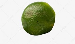 橘子吃瓜素材图片大全,创意素材图片大全赏析