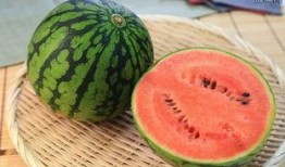 最近都有什么瓜吃