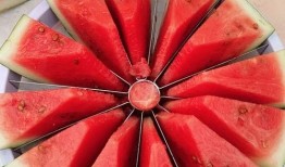 规则吃瓜,揭秘吃瓜群众的趣味人生