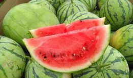 博雅小鱼海棠吃瓜,揭秘吃瓜背后的娱乐江湖