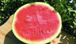 省广吃瓜,揭秘娱乐圈幕后故事