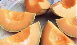 奔跑吧哈密瓜吃瓜,吃瓜群众的狂欢盛宴