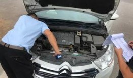 买车买楼吃瓜,揭秘现代都市生活三大热门话题