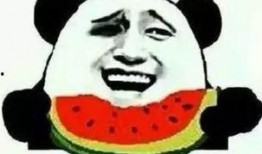 照亮你吃瓜群众,揭秘网络舆论背后的真相