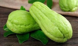 冰晶瓜菜怎么吃最好,冰晶瓜菜的多重美味食用指南