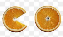 橘子吃瓜素材图片大全,创意素材图片大全赏析