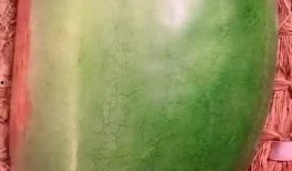 瓜地吃瓜道具,解锁夏日吃瓜新姿势