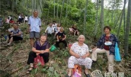 富阳同城吃瓜,揭秘本地热门事件背后的真相