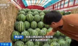 南和广场吃瓜,吃瓜群众的欢乐盛宴