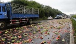 高速公路翻车吃瓜,翻车瞬间，吃瓜群众见证生死瞬间