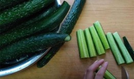 永远不会吃瓜英文,Unwavering Commitment: A Journey Beyond the Gossip Circle