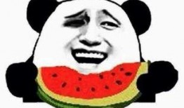 吃瓜群众老妹视频