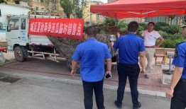 任城区吃瓜,瓜香四溢，品味地方特色美食之旅