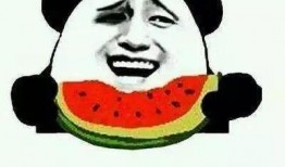 吃瓜和学习,趣味生活与知识成长的完美融合