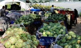 商丘吃瓜小伙,揭秘网络红人的崛起之路