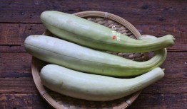 5.1吃瓜官网,揭秘娱乐圈新鲜瓜果，带你畅游娱乐盛宴