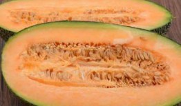 吃哈密瓜后哮喘