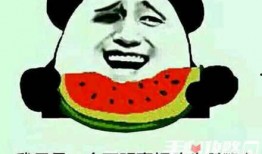 吵架吃瓜梗图,梗图笑料百出