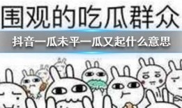 抖音极品吃瓜,揭秘热门事件背后的真相