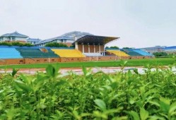 南陵中学吃瓜,揭秘校园里的热点话题