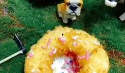 小号圈吃瓜,一场网络世界的狂欢盛宴