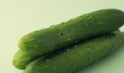 胶瓜减肥可以吃吗,健康饮食新选择，可行吗？