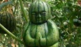 不明所以的吃瓜土著,探寻民间趣味现象背后的故事